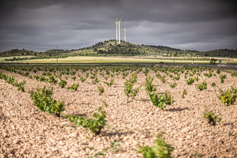 Campo Cambios sistémicos Pablo Tosco